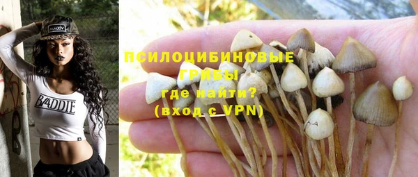 прущие крисы Алексин