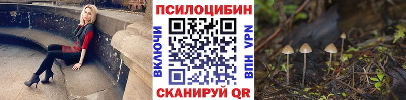 МЕГА рабочий сайт  Анива  Псилоцибиновые грибы прущие грибы 
